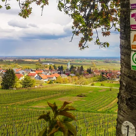 Amelie No 3 & シュヴァイゲン・レヒテンバッハ