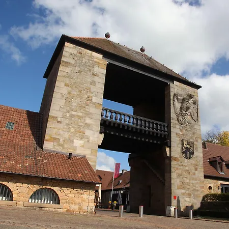 Amelie No 3 & * 施伟根-莱齐腾巴赫