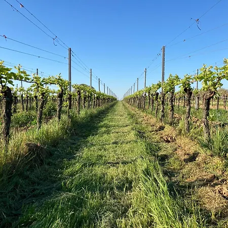 Hotel Amelie No 3 & Schweigen-Rechtenbach