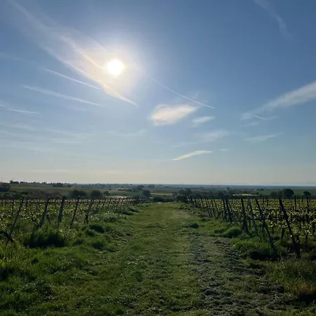 Amelie No 3 & Hotel Schweigen-Rechtenbach