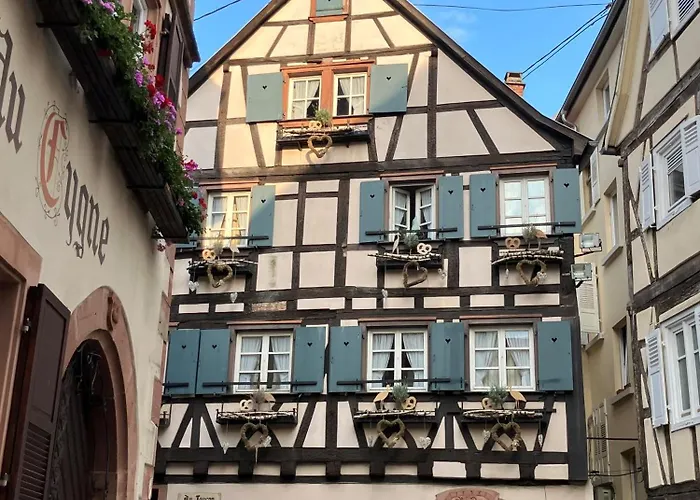 Amelie No 3 & 호텔