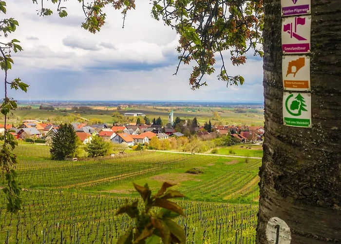 Amelie No 3 & Schweigen-Rechtenbach