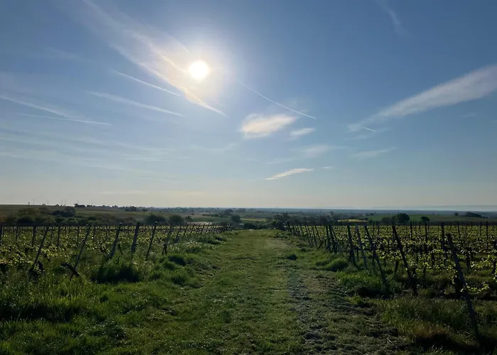 Amelie No 3 & Hotel Schweigen-Rechtenbach